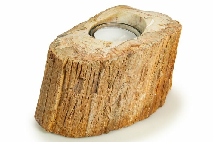 Polished Petrified Wood Candle Holder - Madagascar #337894